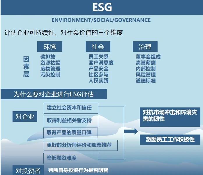 双碳战略咨询服务(双碳战略是什么意思)伊春市