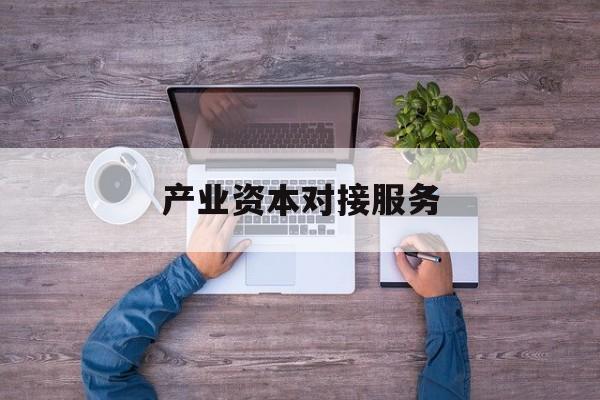 产业资本对接服务(产业资本对接服务包括哪些)伊春市
